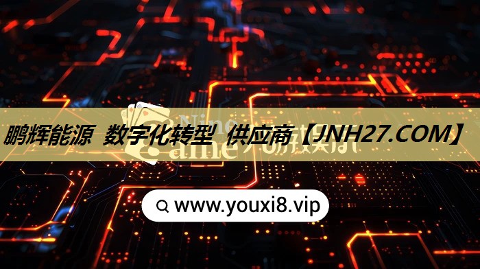 鹏辉能源 数字化转型 供应商